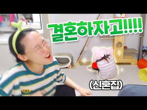 남사친에게 결혼하자고 공개 구혼했습니다.