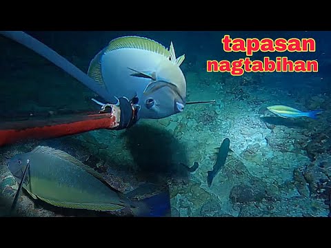ep636 dive2 nagtabihan ang mga tapasan