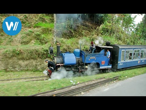 Die Teebahn von Darjeeling (360° - GEO Reportage)