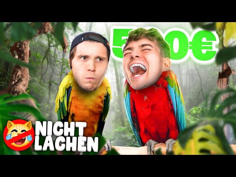 NICHT LACHEN sonst PAPAGEI! mit Paluten
