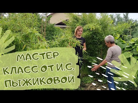 И снова немного о травах. Мастер класс от И.С. Пыжиковой