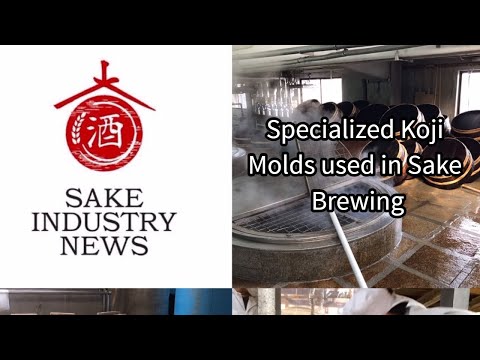Specialized Koji Molds Used in Sake Brewing