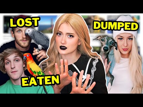YouTubers SHOULDN'T Own Pets
