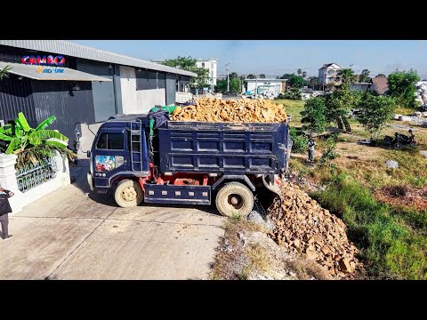 NICELY Start Project LANDFILL by Best Driver 5TTrucks Unloading SoilRock &DOZER KOMATSU D20P Pushing