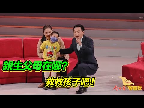 一個養母對癌症養子親生父母的呼喊：“求你們回來救救孩子吧！”【等着我】