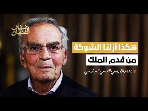 المشيشي: أزلت شوكة المعتقلين السياسيين من قدم الملك ولعن الله السياسة والسياسيين