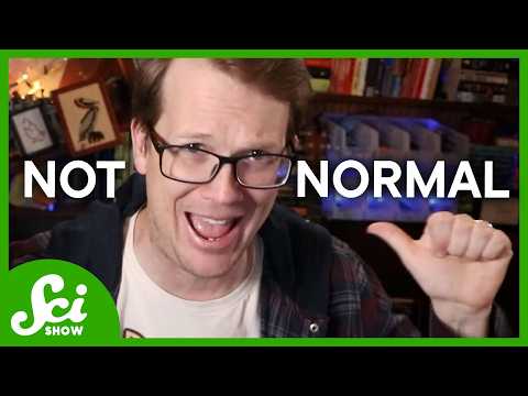 This Video Will Be Deleted in 13 Hours