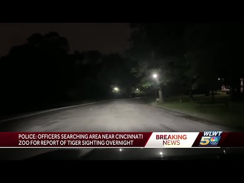 Cincinnati Zoo say all tigers accounted for after police receive report of tiger spotted