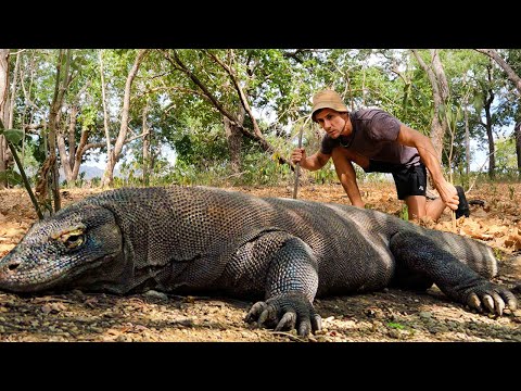 ОСТРОВ ДРАКОНОВ. [4 сезон] Ищу необитаемый новый остров для выживания #46