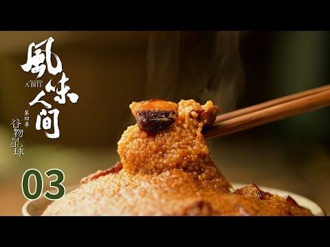 MULTI SUB【风味人间第四季 Once Upon A Bite S4】第三集：黍粟本嘉禾 | 腾讯视频 - 纪录片