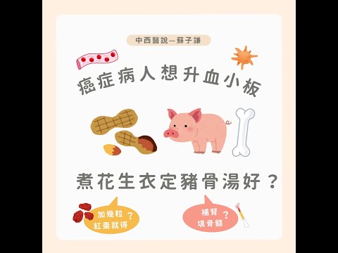 究竟花生衣如何煲?  係咪真係升到血小板? 點解越用越失效?