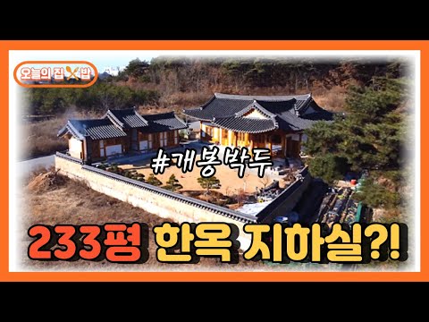 [오늘의 집 &밥] 233평 한옥 지하실 개봉박두!