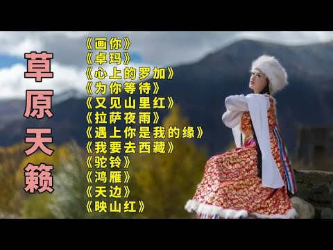 悦耳画你卓玛心上的罗加为你等待又见山里红拉萨夜雨