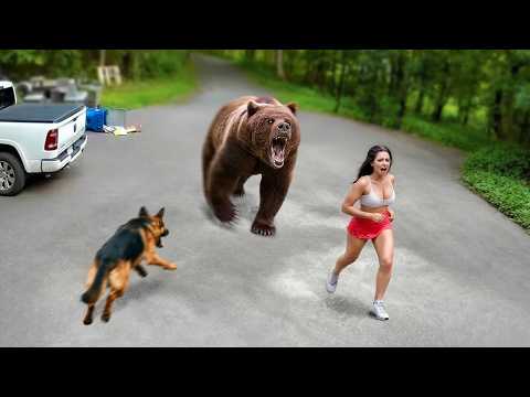 60 Hero Animals That Saved Human Lives