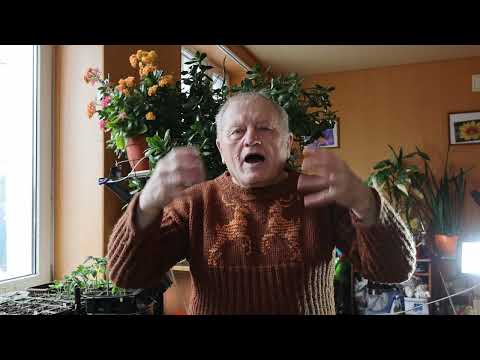 Все секреты АКЧ только по Геннадию Распопову, ну а супчики корейцев делаем по Американски.