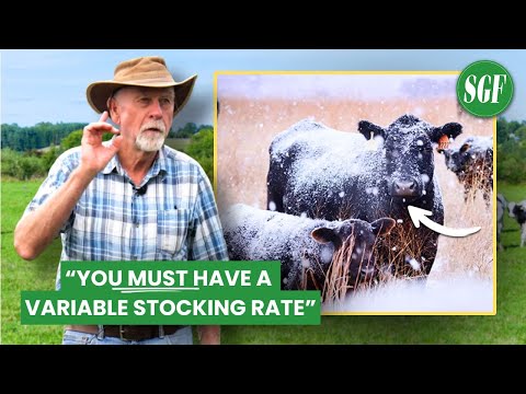 WINTER GRAZING TIPS: Grazing Expert Jim Gerrish