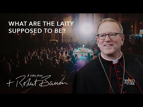 What Are the Laity Supposed to Be?