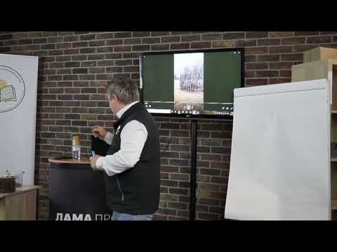 2ч  Производство сеянцев хвойных видовых, и доращивание в первой школке, Алексей Олейник