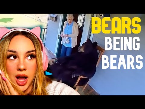 Finnish Girl Reacts to Bears Being Silly And It’s Hilarious, You Won’t Stop Laughing!