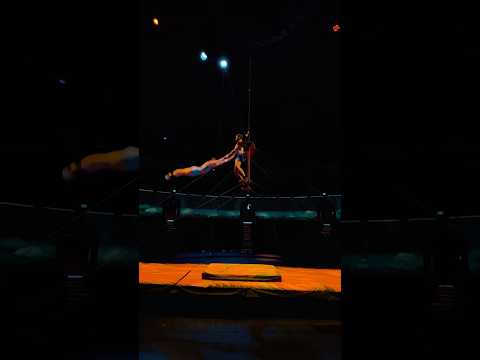 this is so peak 🗻😩 #LUDO | Cirque du Soleil