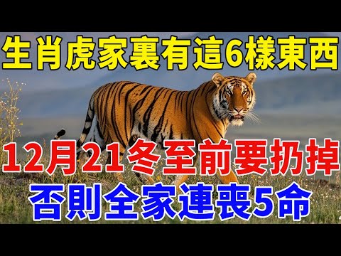 不是迷信！生肖虎家裏有這6樣東西，12月21冬至前一定要扔掉！否則全家連喪5命！所有人要注意！【佛緣生肖】#生肖 #命理 #運勢 #屬相 #風水#生肖虎 #屬虎