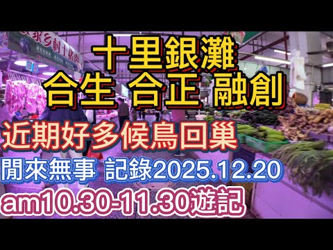 OT出片！今日闲来无事突然之间发现十里银滩多了好多人！实地拍摄一下！商业街市场大把人~