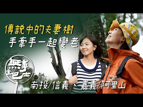【無事坐巴士 完整版】坐這班公車一次玩日月潭、阿里山 跟著四十年資歷的大自然觀察家 探訪東埔大草原｜琡婷｜南投水里 嘉義阿里山｜公路旅行 旅遊紀實 生態維護 部落文化｜公視台語台｜EP215