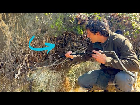 Flash Flood Reveals Creek FULL of Treasures (Bottles & Arrowhead)