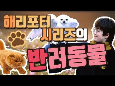 해리포터 시리즈에 나오는 반려동물들
