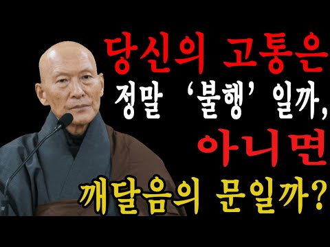 당신의 고통은 정말 ‘불행’일까, 아니면 깨달음의 문일까? ㅣ법정스님ㅣ교훈ㅣ조언ㅣ강연