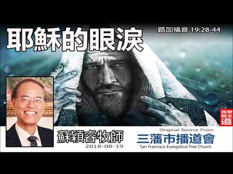 耶穌的眼淚 (路加福音19:28-44) - 蘇穎睿牧師