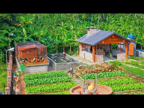 Draining Ly Hoang Linh's Fish Pond, Catching A Lot of Catfish To Release in the New Fish Tank