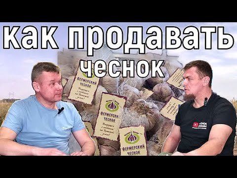 УСПЕШНЫЙ ОПЫТ РЕАЛИЗАЦИИ ЧЕСНОКА В РОЗНИЦУ