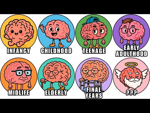 Every HIDDEN ADVANTAGE of Your Brain Age Explained