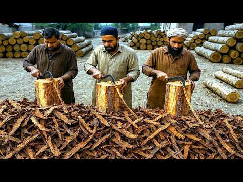 Uncovering Pakistan Manufacturing Secrets - Pakistan Match Factory - @TopWorks