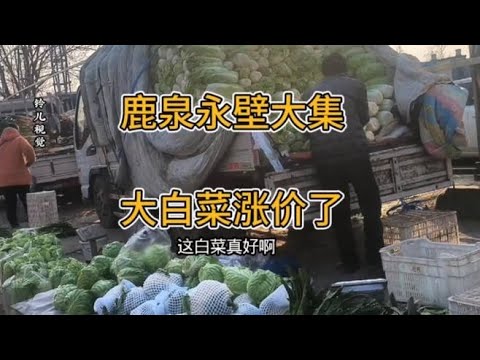 实拍石家庄鹿泉永壁大集，大白菜价格又涨了，看看多少钱一斤？,三农,农民生活