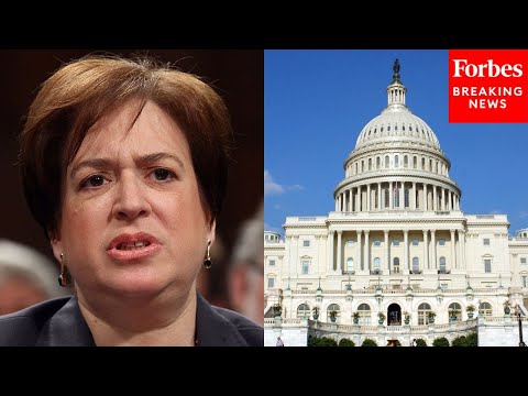 Elena Kagan Asks Attorney: Why Has Congress Never Abused Their Power Over Federal Agencies?