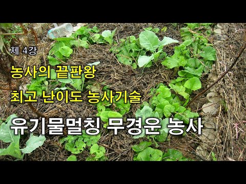 유튜브 도시농 귀농학교 I 자연농 자급자족교육 I  99% 잘 못 알고 있는 유기물멀칭 무경운 농사