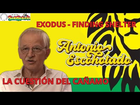 La cuestión del cañamo. Una introspección superior. Escohotado en Exodus de Rototom Benicassim 2010