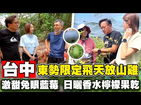 《詹姆士出走料理》台中東勢天王級限定食材 兔眼藍莓、香水檸檬與放山雞驚人好滋味-第270集-2024/8/4