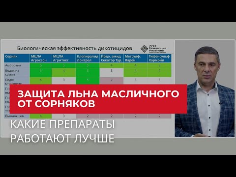 Защита льна масличного от сорняков | Агроном | Сергий Ризанов