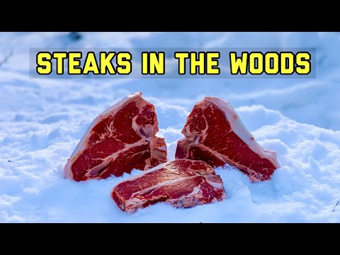 What Happens when you leave STEAKS in the woods? Let's find out! Trail Camera: Wildlife Steak Dinner