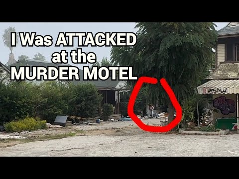 I Revisited the Abandoned Hollywood Center Motel and Found This