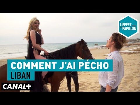 Comment j'ai pécho : Liban - L’Effet Papillon