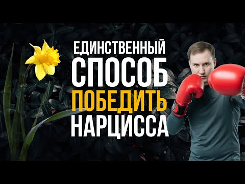 The only way to defeat a narcissist!