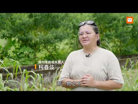 好土？廢土？600萬噸黑泥掩蓋光復良田 高鹼土之下 農民面臨打掉重練