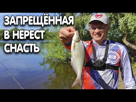 Как вязать фидерный поводок с 4 крючками - покажет Дядя Фёдор. В нерест им ловить запрещено!