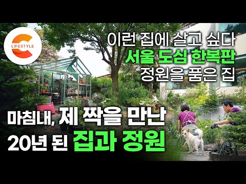 마침내, 20년 된 오래된 집이 취향 좋은 주인을 만났을 때🏡 서울 종로구 도심 한복판, 보물같은 집을 알아본 부부의 집과 비밀 정원 (ft.홈가드닝)ㅣ정원 디자이너ㅣ#건축탐구집