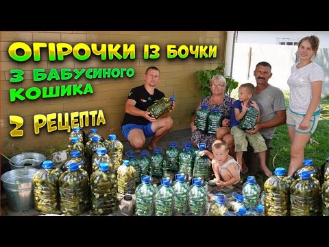 🇺🇦Бізнес на огірках🥒 Домашня технологія вирощування! Найкращий і простий рецепт засоювання