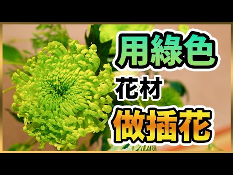 插花教學｜色彩插花｜用清爽的綠色花材做插花！